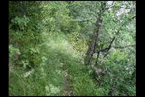 28-Pas-de-la-Branche-13h39.jpg