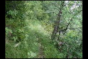 28-Suite-bon-sentier-horizontal-13h39.jpg