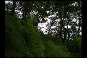 30-Bons-sentier-13h41.jpg