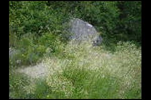 38-Depart-sentier-18-jaune-13h47.jpg