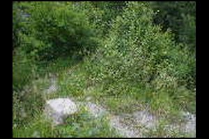 42-Depart-sentioer-jaune-14h09.jpg