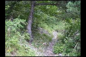 43-Lacets-sentier-18-jaune-14h09.jpg