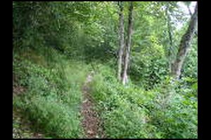 44-Pas-de-la-Branche-14h16.jpg