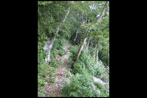 47-Champ-Rousset-sentier-vers-la-Dr-14h28.jpg
