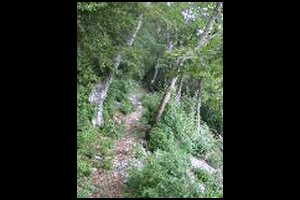 47-Champ-Rousset-vers-la-Dr-14h28.jpg