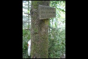 49-Panneau-pris-au-retour-a-16h04.jpg
