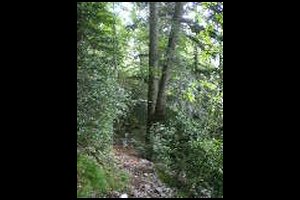 49-Pas-de-la-Branche-14h37.jpg