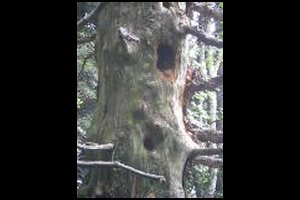 50-Pas-de-la-Branche-14h39.jpg