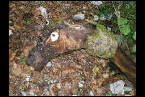 51-Pas-de-la-Branche-14h41.jpg