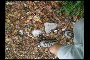 52-Pas-de-la-Branche-14h42.jpg