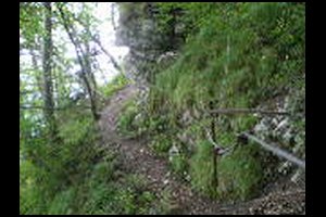 58-Cables-15h02.jpg