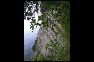 62-Pas-de-la-Branche-15h05.jpg