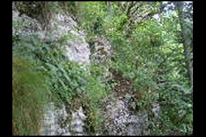 63-Cable-2-Pas-de-la-Branche-15h21.jpg