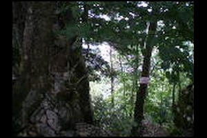 66-Panneau-du-pas-de-la-Branche-15h23.jpg