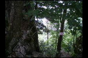 66-Pas-de-la-Branche-15h23.jpg
