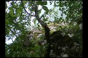 70-Pas-de-la-Branche-15h29.jpg
