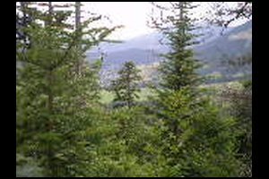 71-Vue-du-St-Eynard-vers-Nord-15h31.jpg