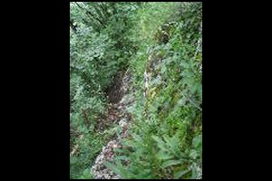 73-Descente-cable2-Branche-15h36.jpg
