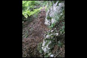 76-Descente-Cable1-Branche-15h45.jpg