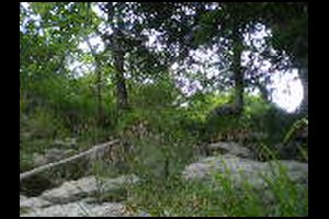 78-Corde-fixe-Pas-de-la-Branche-15h50.jpg