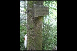 79-Pas-de-la-Branche-16h04.jpg