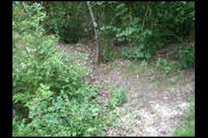 82-Carrefour-vers-Borne-6bis-17h19.jpg