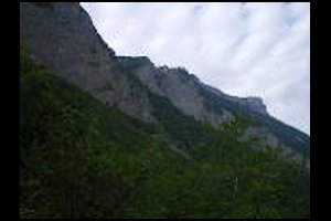 84-foret-Champ-Rousset-vuedeloin.jpg