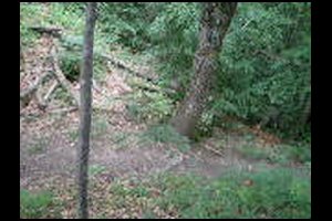 85-Colu-120m-sur-Chatelard-17h29.jpg