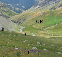 Anes Cruces Pyrénées