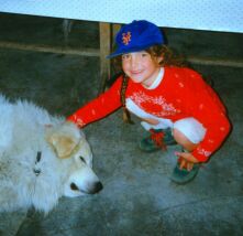 Raid-2, LaMi DoRéDon et Guill'